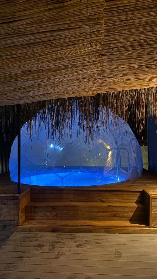 Ten Tiny House Sapanca Ngoại thất bức ảnh